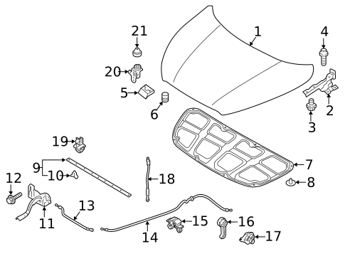Hood & Components for 2013 Hyundai Elantra Coupe #0
