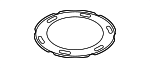 173436FK0A - Fuel System: Fuel Pump Lock Ring for Nissan Image