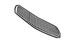 51118047391 - : Center Grille for BMW: M5 Image
