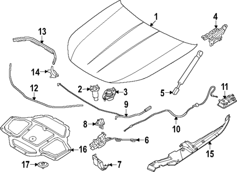 Hood & Components for 2024 BMW i5 #0