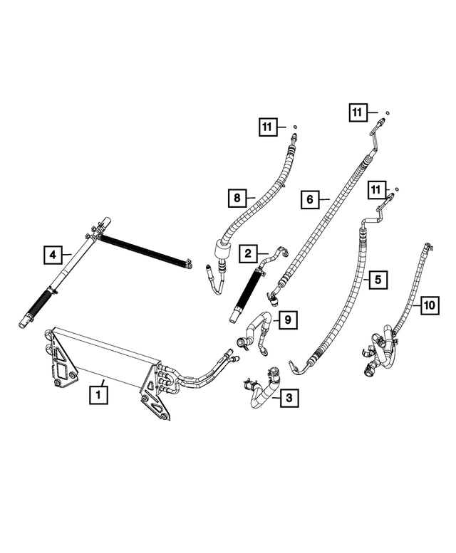 1BP04431AA - Steering: Power Steering Return Hose, Bproauto for Mopar Image