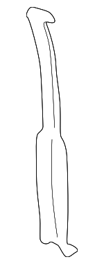 55345462 - Body: Pillar for Dodge: B150, B1500, B250, B2500, B350, B3500 Image