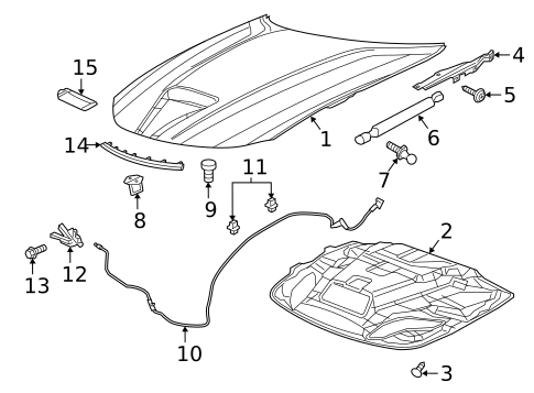 Hood & Components for 2013 Dodge Charger #0