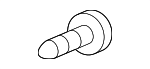 90113SJAA00 - Body: Center Filler Screw for Honda: Accord, Accord Crosstour, Civic, Clarity, CR-V, CR-Z, Crosstour, Fit, HR-V, Insight, Pilot Image