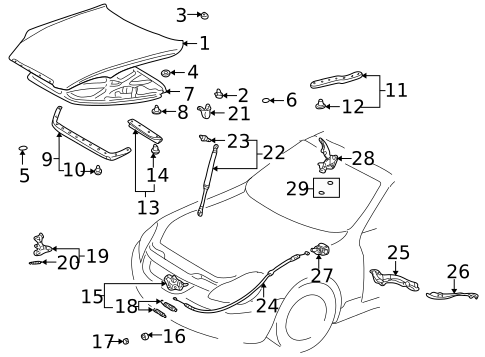 Hood & Components for 2007 Lexus SC430 #0