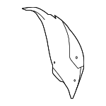 99150450905 - : Wheelhouse Liner for Porsche: 911 Image