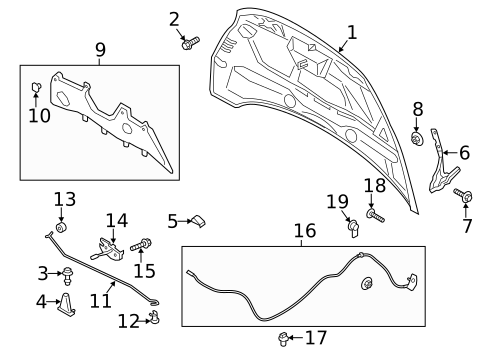 Hood & Components for 2018 Ford C-Max #0