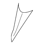 7563104020 - Body: Lower Molding for Toyota: Tacoma Image