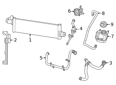 Radiator & Components for 2022 Jeep Wrangler #1