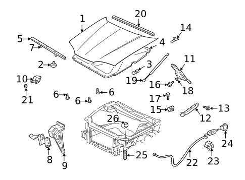 Hood & Components for 2005 Chevrolet Monte Carlo #0
