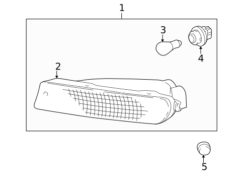 Bulbs - Chassis for 1997 Toyota RAV4 #2