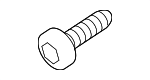 30640833 - Body: License Plate Bracket Screw for Volvo Image