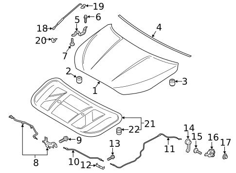 Hood & Components for 2019 Hyundai Veloster #0