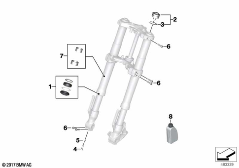 Service of Telescopic Forks for 2021 BMW-Motorrad G 310 R #0