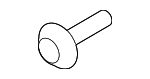 31692694 - Body: Door Check Screw for Volvo Image