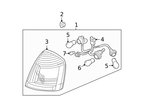 Bulbs - Chassis for 2011 Hyundai Accent #1