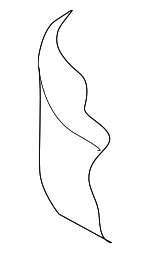 892503N550 - Body: Seat Cushion Pad for Hyundai: Equus Image