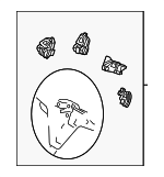 DG1Z3600HA - : Steering Wheel for Ford: Taurus Image