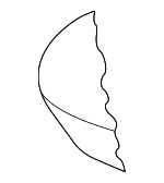 8H0881361F - : Seat Cushion Pad for Audi: A4, A4 Quattro, RS4, S4 Image