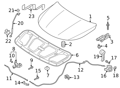 Hood & Components for 2024 Kia Sorento #0
