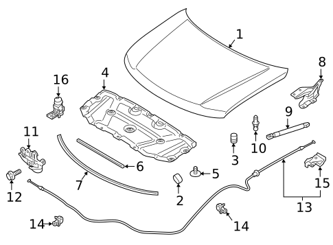 HOOD & COMPONENTS for 2015 INFINITI QX80 #0