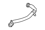 17128616528 - Cooling System: Lower Hose for BMW Image