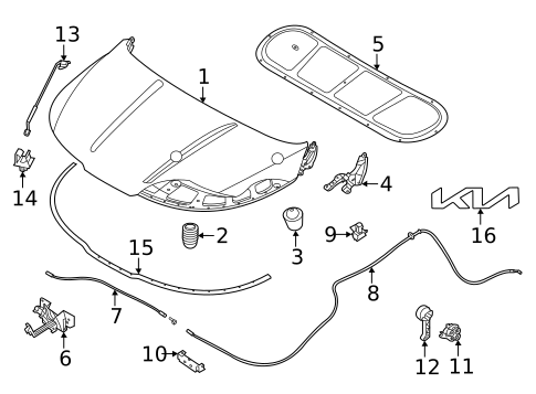 Exterior Trim - Hood for 2022 Kia Carnival #0