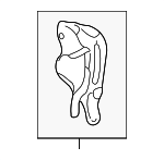 2133038014 - : Inner Timing Cover for Hyundai Image