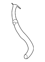 8N1422891B - Steering: Return Hose for Audi: TT, TT Quattro Image