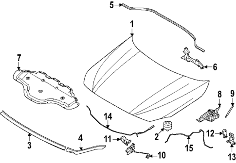 Hood & Components for 2025 BMW 228 xDrive Gran Coupe #0
