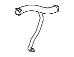 C2C26769 - : Upper Hose for Jaguar: Super V8, Vanden Plas, XJ8, XJR, XK8 Image