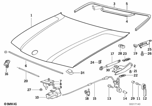 Hood for 1992 BMW 325is #0