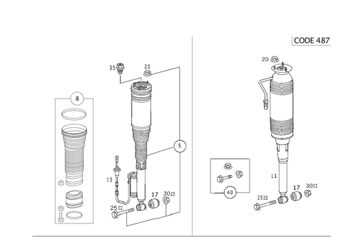 Spring Strut and Spring Strut Mounting Rear for 2003 Mercedes-Benz S 55 AMG&reg; #0