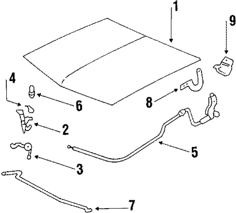 Hood & Components for 1987 Pontiac T1000 #0