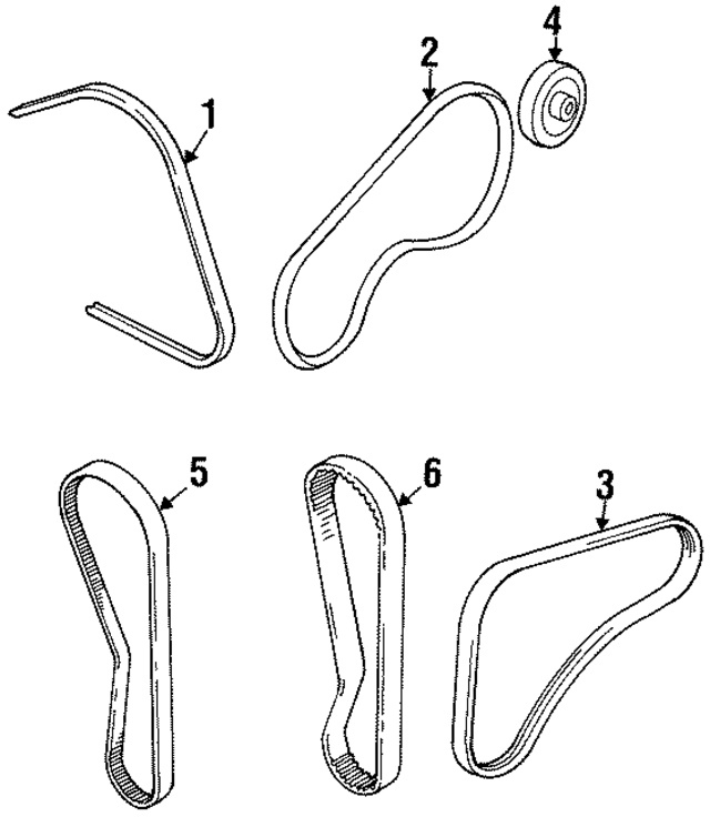 30005359 - Cooling System: AC Belt for GM Image