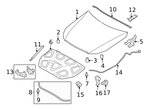 Hood & Components for 2016 Hyundai Equus #0