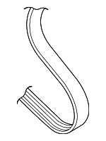 66145933K - Belts &amp; Cooling: Serpentine Belt for Volkswagen Image