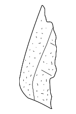 1K5885775C - Body: Seat Back Pad for Volkswagen: Jetta Image