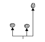 99904900740 - Body: Rear Fender Liner Nut for Porsche: 911, Boxster, Cayenne, Cayman, Panamera Image