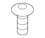 Air Cleaner Assembly Screw