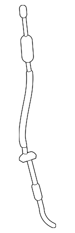 68321300AA - Body: Lock Cable for Ram: 1500 Image