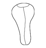 25111434716 - Body: Shift Knob for BMW: 323Ci, 323i, 325Ci, 325i, 325xi, 328Ci, 328i, 330Ci, 330i, 330xi, M3 Image