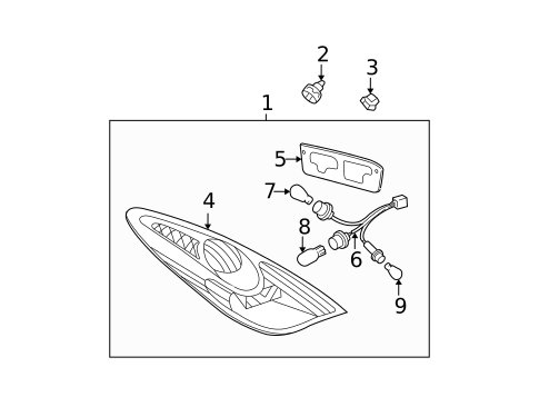 Bulbs - Chassis for 2005 Toyota Solara #1