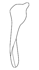 51450FA000 - Body: Rear Extension for Subaru: Impreza Image