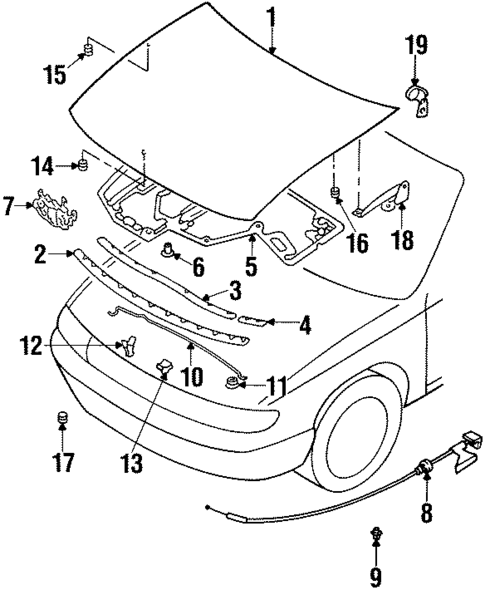 Hood & Components for 1997 Nissan Altima #0