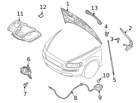 Hood & Components for 2006 Volvo V50 #0