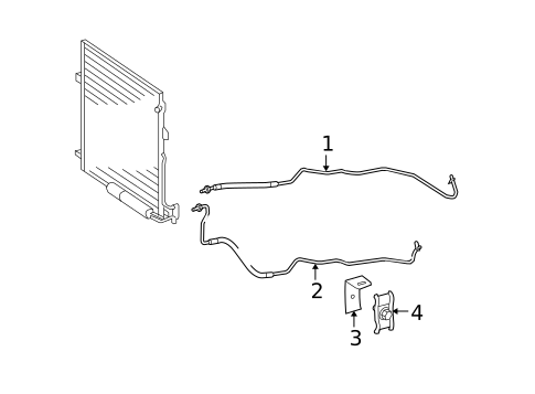 Trans Oil Cooler for 2009 Mercedes-Benz GL 450 #0