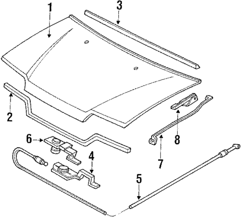 Hood & Components for 1989 Honda Civic #0