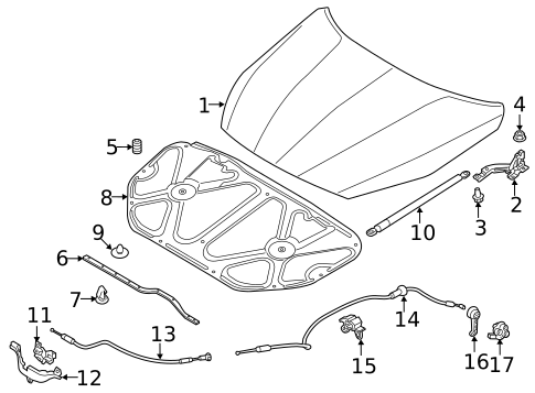 Hood & Components for 2014 Kia Cadenza #0
