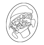 484309FW1C - : Steering Wheel for Nissan Image